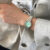 Vintage Style Gold/Silver Round Ladies Watch