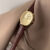 Chic Style Brown/Black Oval Leather Watch for Women