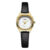 Brown Gold Plate Watch