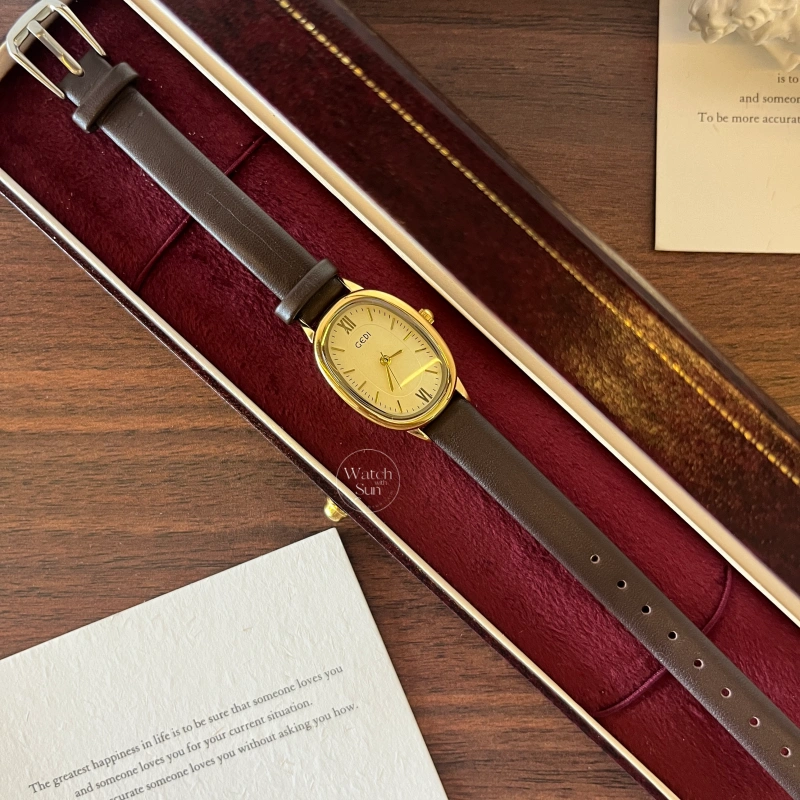 N046-4 Chic Brown Oval Leather Watch for Women