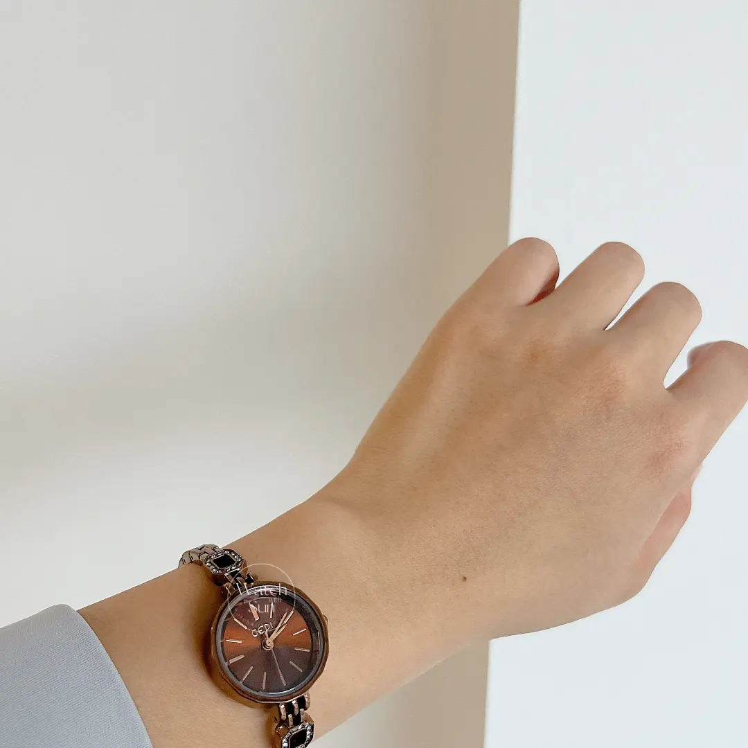 Classic Brown Round Stainless Steel Bracelet Watch