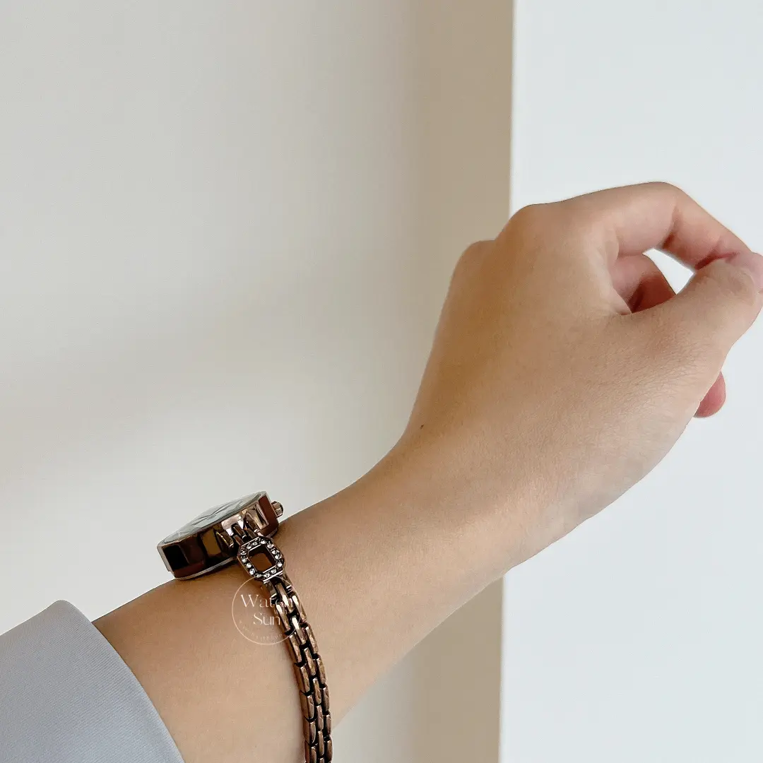 Classic Brown Round Stainless Steel Bracelet Watch