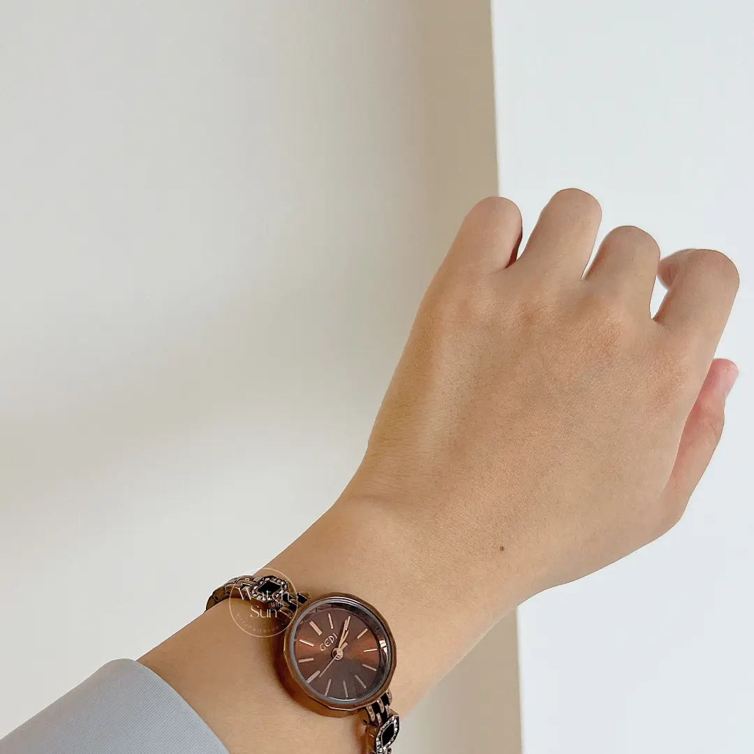 Classic Brown Round Stainless Steel Bracelet Watch