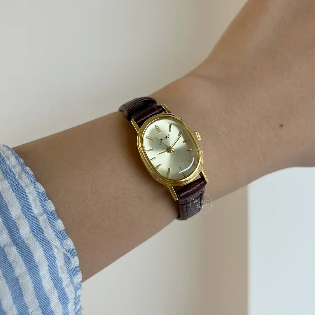 Chic Style Brown/Black Oval Leather Watch for Women