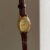 Chic Oval Face Brown Leather Watch for Women