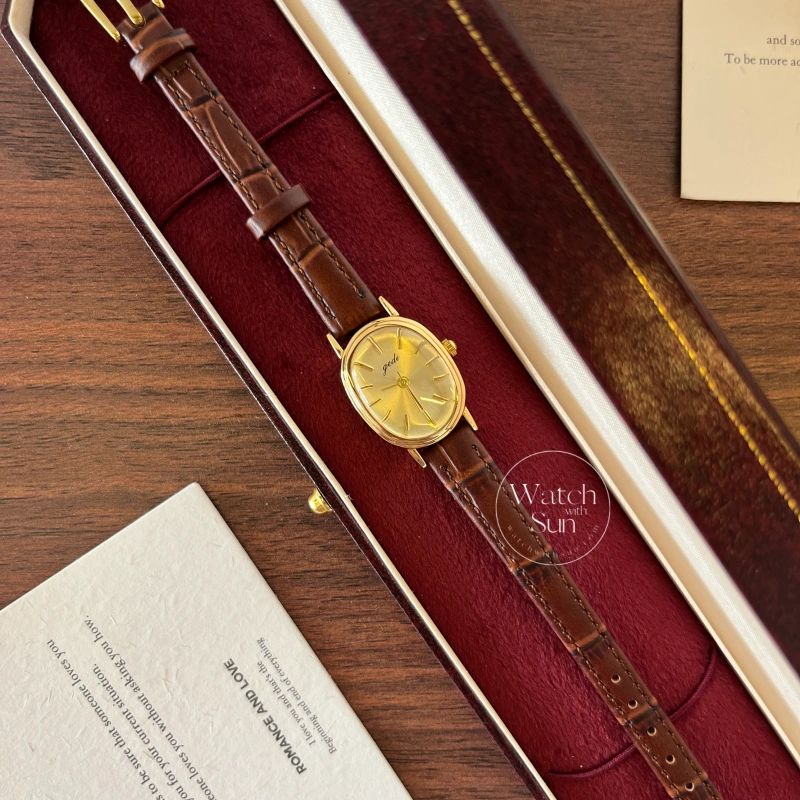 N558-4 Chic Oval Face Brown Leather Watch for Women